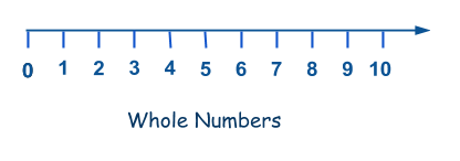 Whole numbers (What are whole numbers?)